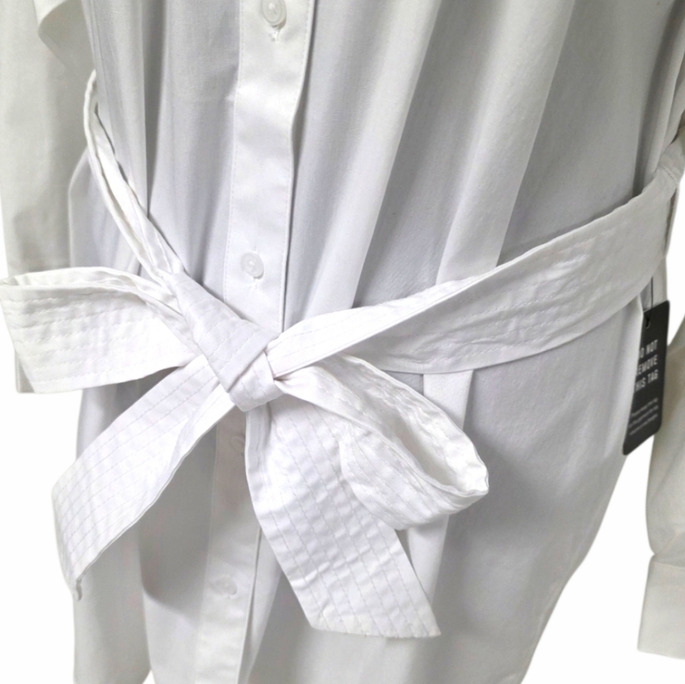 EXPRESS Boyfriend Poplin Mini Portofino Shirt Dress - Picture 9 of 16